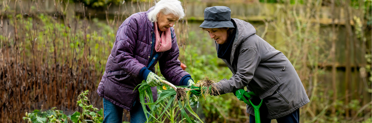 Why More Retirees Are Choosing to Work Part-Time